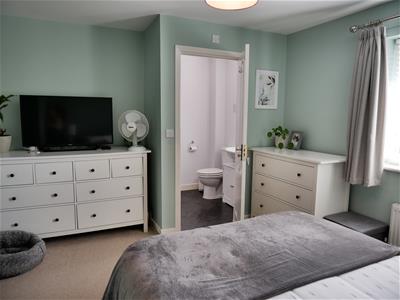 Picture 15